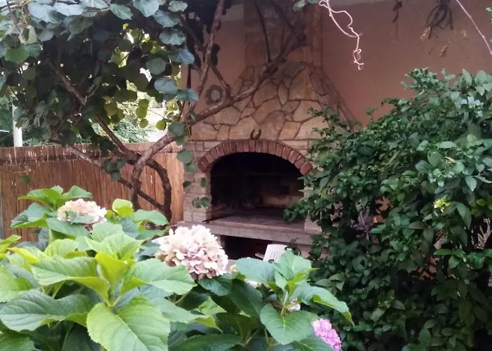 公寓 马娅公寓 *